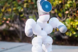 Robot density is increasing in Europe, Asia, and America