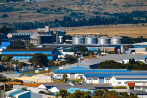 Cargill Strengthens Belgium as Strategic European Food Innovation and Manufacturing Hub