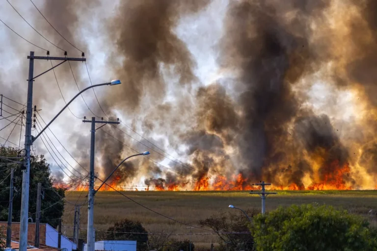 CitroTech Expands Wildfire Defense Partnerships Across North America's Highest-Risk Regions
