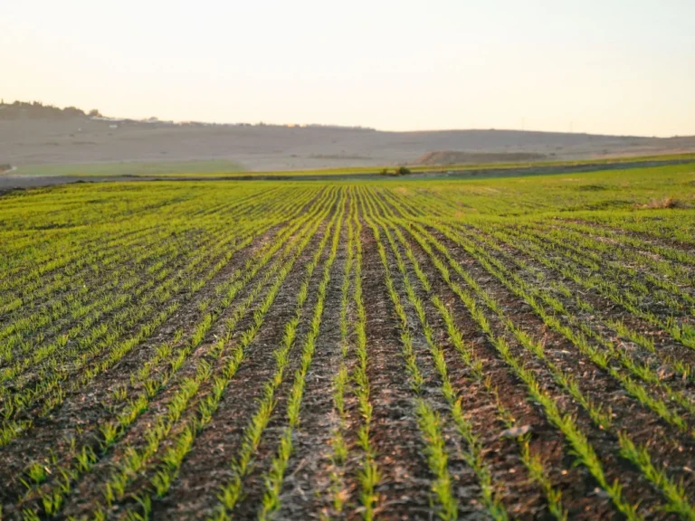 Cargill Inaugurates a New Fertilizer Plant in Nueva Palmira to Strengthen Its Value Proposition to Uruguayan Producers