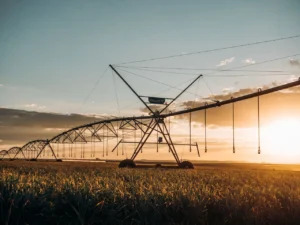 Pivot Bio Opens Nominations for its 15 Under 20 Fields of Promise Honors, Recognizing the Next Generation Shaping Agriculture’s Future