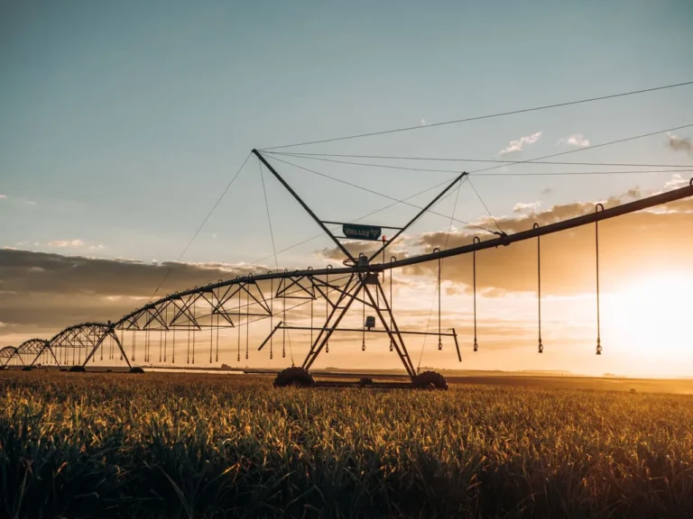 Pivot Bio Opens Nominations for its 15 Under 20 Fields of Promise Honors, Recognizing the Next Generation Shaping Agriculture’s Future