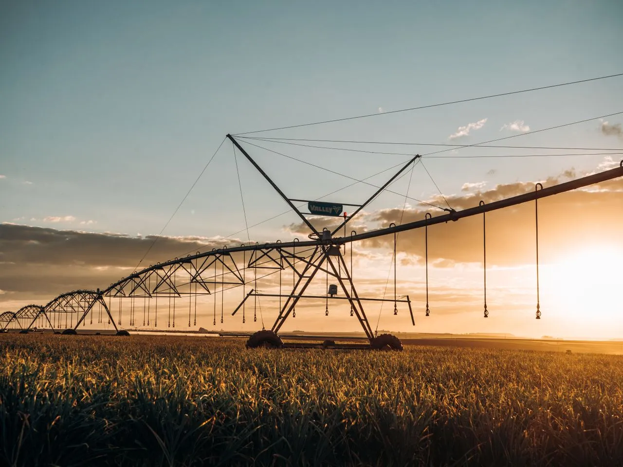 Pivot Bio Opens Nominations for its 15 Under 20 Fields of Promise Honors, Recognizing the Next Generation Shaping Agriculture’s Future