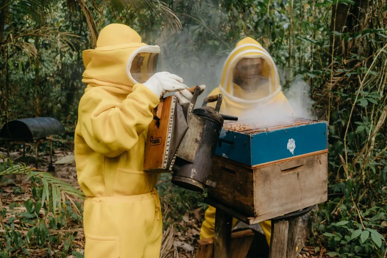Building a Better World Through Honeybees