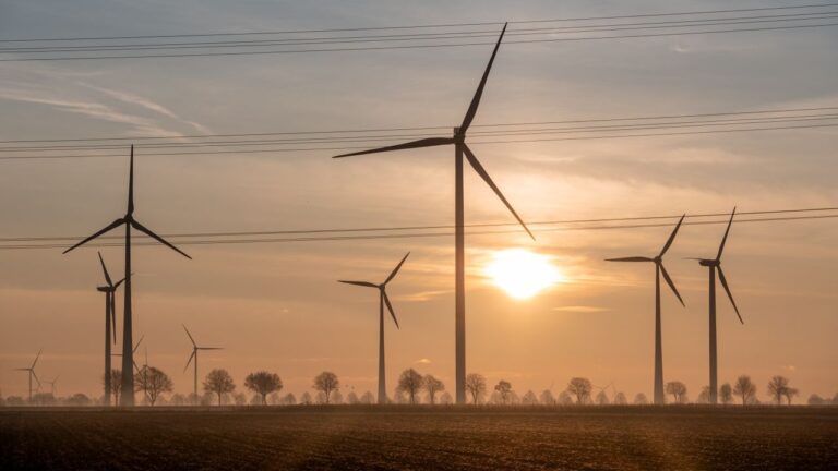 Logitech Introduces ‘Chain Reaction’ Initiative to Decarbonize Supply Chains